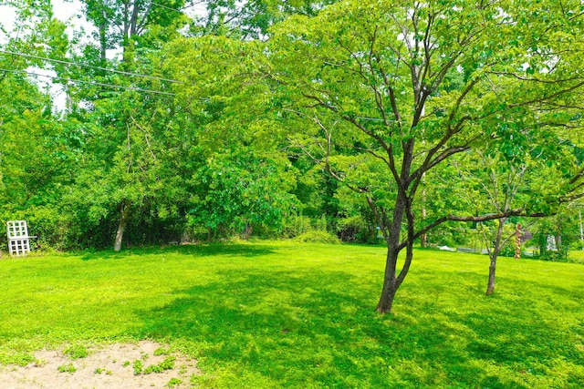 168 Perry Ln, London, KY 40741 - view of grassy yard