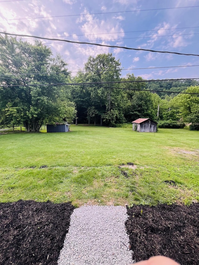6006 US-60, Morehead, KY 40351 - view of grassy yard with a shed