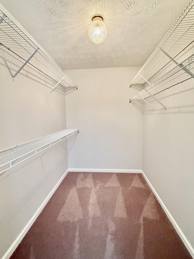 1012 Heathcliff Dr, Richmond, KY 40475 - walk in closet with carpet flooring