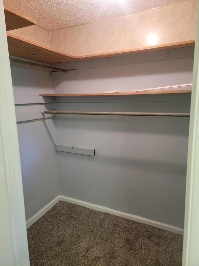 3380 Upton Talley Rd, Upton, KY 42784 - walk in closet featuring carpet flooring