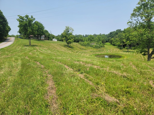 3380 Upton Talley Rd, Upton, KY 42784 - view of yard
