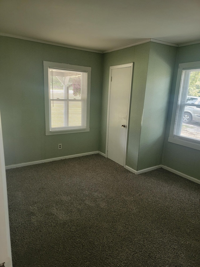 3380 Upton Talley Rd, Upton, KY 42784 - carpeted spare room with ornamental molding