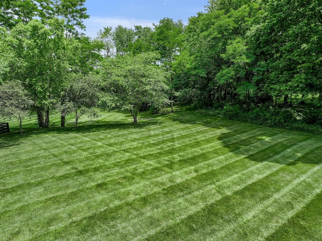 103 Windridge Dr, Nicholasville, KY 40356 - view of green lawn