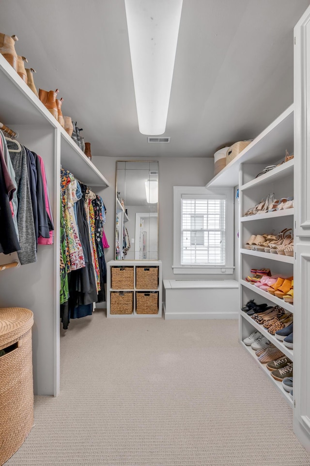 341 Kingsway Dr, Lexington, KY 40502 - spacious closet featuring carpet