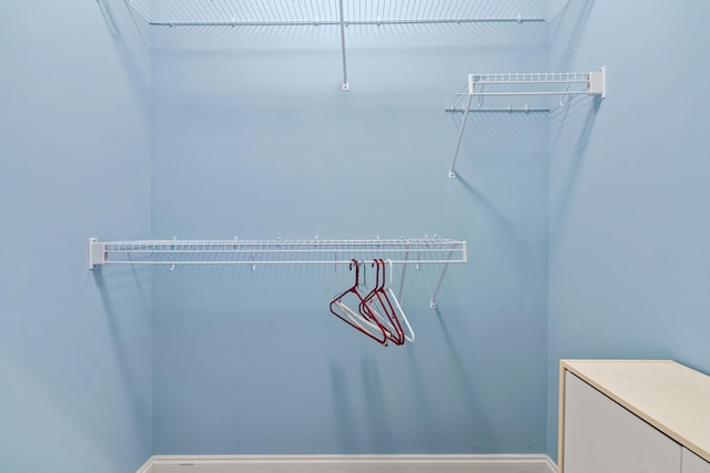 139 Delissa Dr, Georgetown, KY 40324 - view of spacious closet