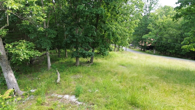 428 Hunter Dr, Lancaster, KY 40444