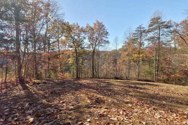 69 Side Run Rd, Wellington, KY 40387 - view of woods