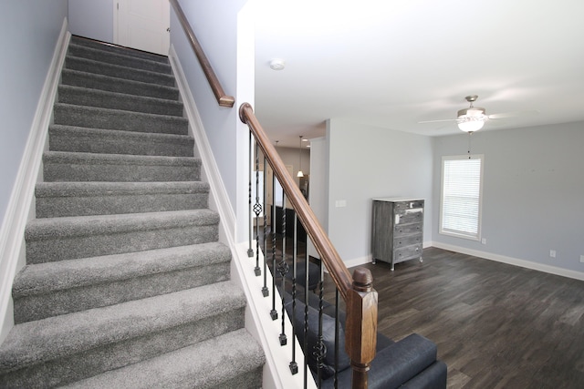 101 Corolla Cir, Georgetown, KY 40324 - staircase with wood finished floors and ceiling fan
