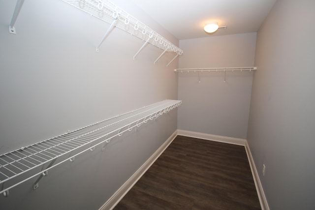 101 Corolla Cir, Georgetown, KY 40324 - walk in closet with wood finished floors