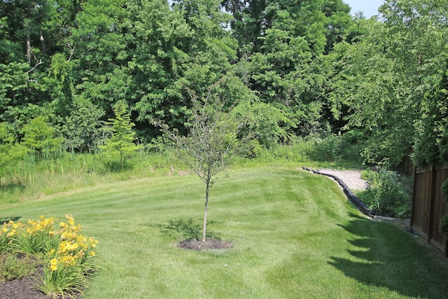 101 Corolla Cir, Georgetown, KY 40324 - view of grassy yard