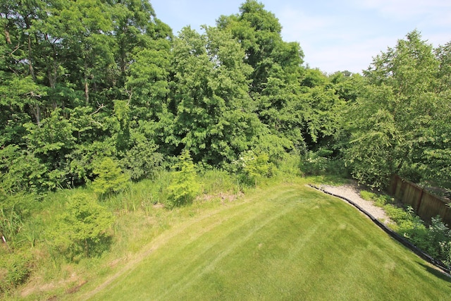 101 Corolla Cir, Georgetown, KY 40324 - view of yard