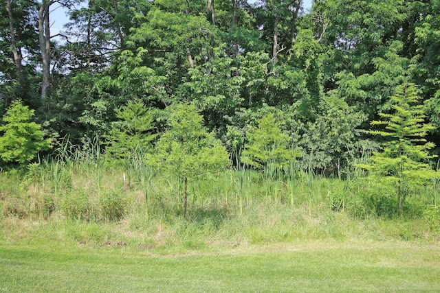 101 Corolla Cir, Georgetown, KY 40324 - view of undeveloped land