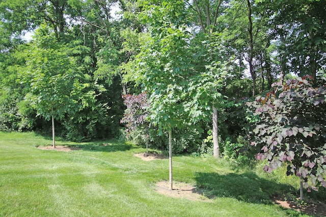 101 Corolla Cir, Georgetown, KY 40324 - view of grassy yard