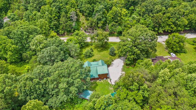 1836 Red Lick Rd, Berea, KY 40403 - bird's eye view of a heavily wooded area