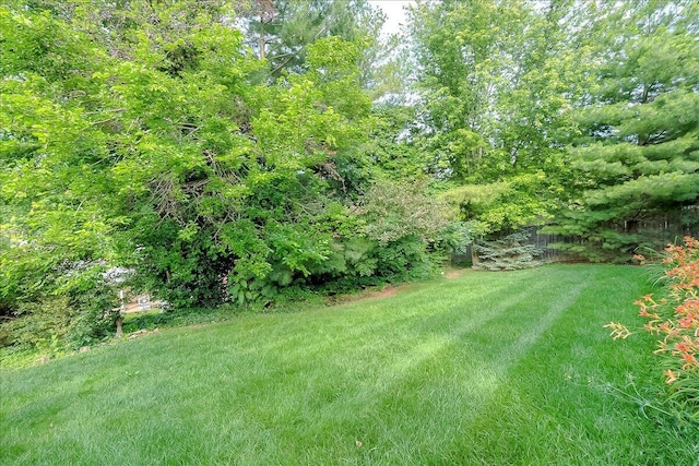 396 Squires Cir, Lexington, KY 40515 - view of yard