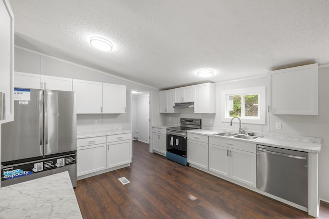 174 Sky Ln, Cynthiana, KY 41031 - kitchen with appliances with stainless steel finishes, under cabinet range hood, a textured ceiling, vaulted ceiling, and white cabinetry