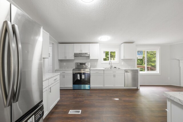 174 Sky Ln, Cynthiana, KY 41031 - kitchen featuring appliances with stainless steel finishes, dark wood finished floors, white cabinets, a textured ceiling, and light stone countertops