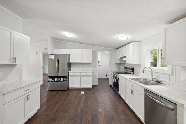 174 Sky Ln, Cynthiana, KY 41031 - kitchen featuring stainless steel appliances, dark wood-type flooring, a textured ceiling, white cabinets, and lofted ceiling