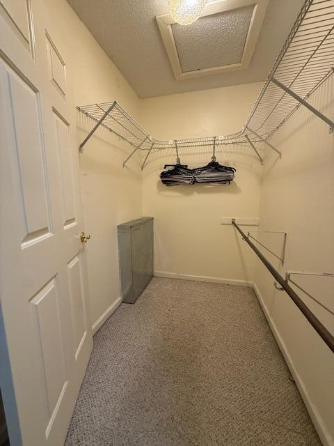 529 S 2nd St, Williamsburg, KY 40769 - spacious closet featuring carpet