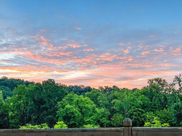 529 S 2nd St, Williamsburg, KY 40769 - view of mountain background