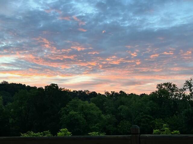 529 S 2nd St, Williamsburg, KY 40769 - view of nature