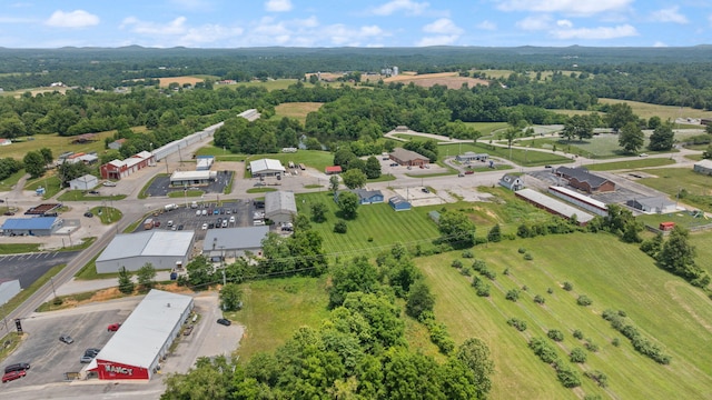 9209 W Hwy 80, Nancy, KY 42544 - aerial view