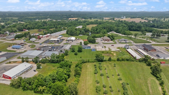 9209 W Hwy 80, Nancy, KY 42544 - aerial view