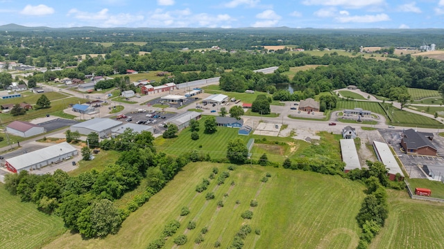 9209 W Hwy 80, Nancy, KY 42544 - aerial view
