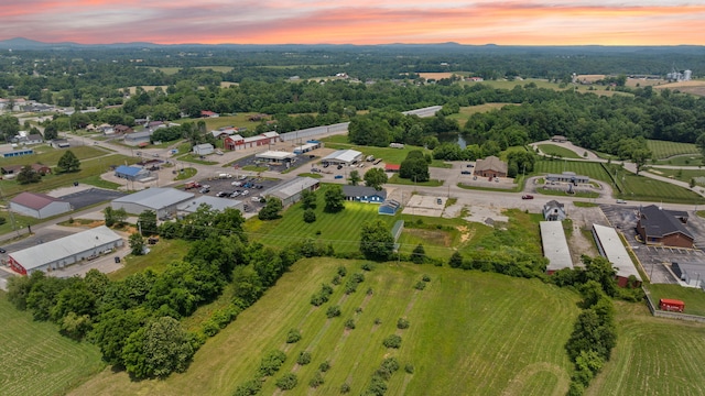 9209 W Hwy 80, Nancy, KY 42544 - drone / aerial view