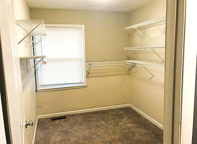 1984 Greenleaf Dr, Lexington, KY 40505 - walk in closet with carpet floors
