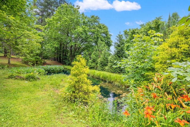 1564 High Ridge Rd, Middleburg, KY 42541 - view of undeveloped land