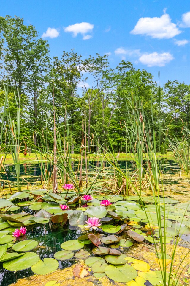 1564 High Ridge Rd, Middleburg, KY 42541 - exterior view