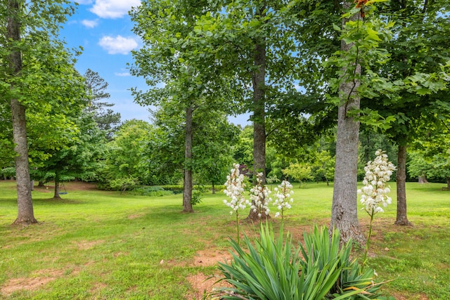 1564 High Ridge Rd, Middleburg, KY 42541 - view of grassy yard featuring view of scattered trees