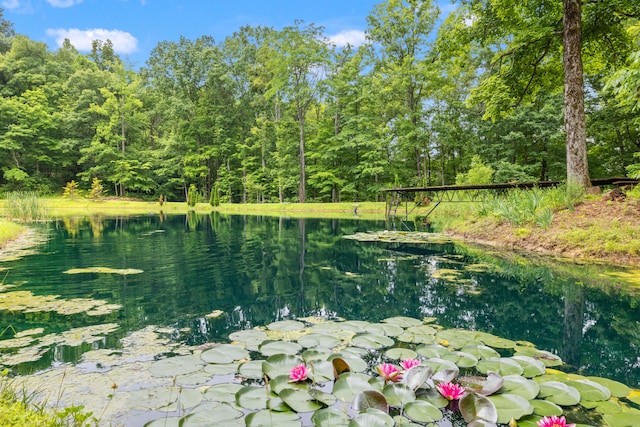 1564 High Ridge Rd, Middleburg, KY 42541 - view of yard featuring a wooded view and a water view