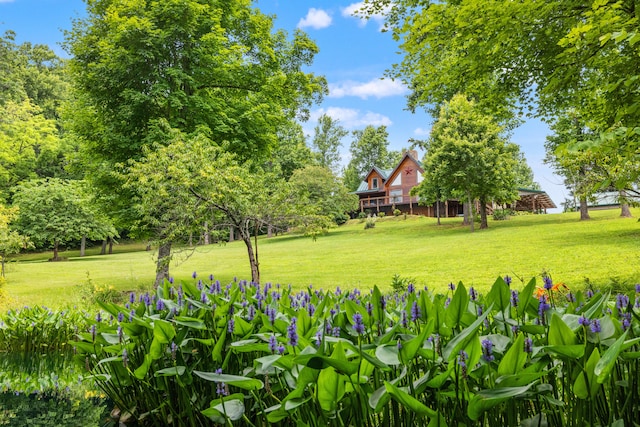 1564 High Ridge Rd, Middleburg, KY 42541 - view of green lawn