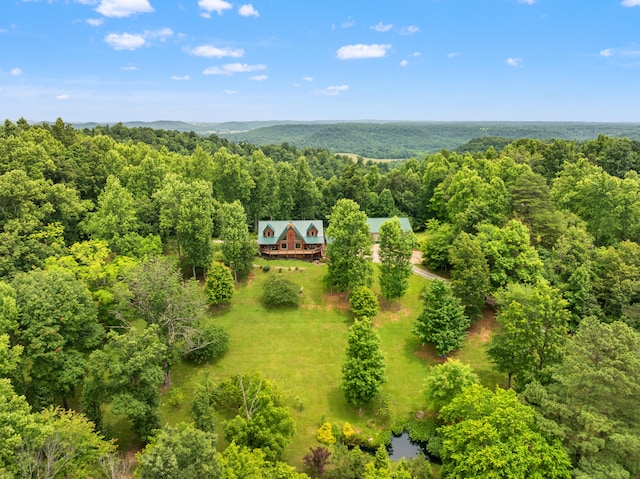 1564 High Ridge Rd, Middleburg, KY 42541 - view of subject property with a heavily wooded area