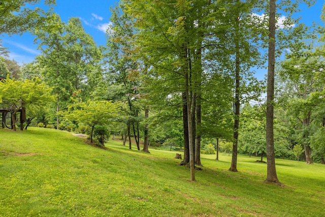 1564 High Ridge Rd, Middleburg, KY 42541 - view of green lawn featuring view of wooded area