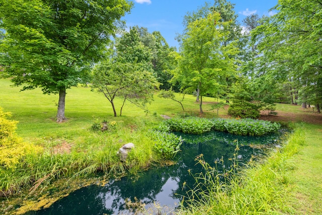 1564 High Ridge Rd, Middleburg, KY 42541 - view of grassy yard
