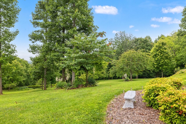 1564 High Ridge Rd, Middleburg, KY 42541 - view of grassy yard