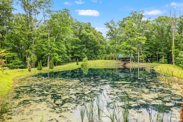 1564 High Ridge Rd, Middleburg, KY 42541 - surrounding community featuring a forest view and a water view