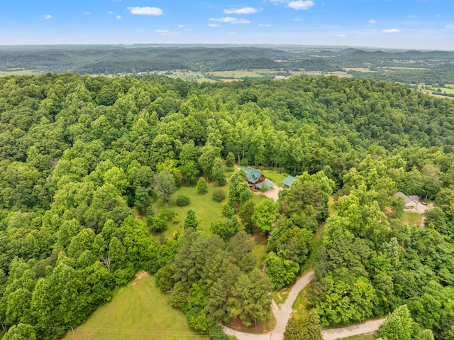 1564 High Ridge Rd, Middleburg, KY 42541 - bird's eye view of a heavily wooded area