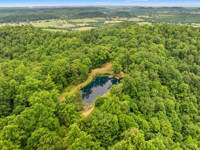1564 High Ridge Rd, Middleburg, KY 42541 - bird's eye view of a forest and a large body of water