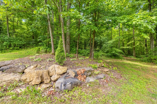 1564 High Ridge Rd, Middleburg, KY 42541 - view of woods