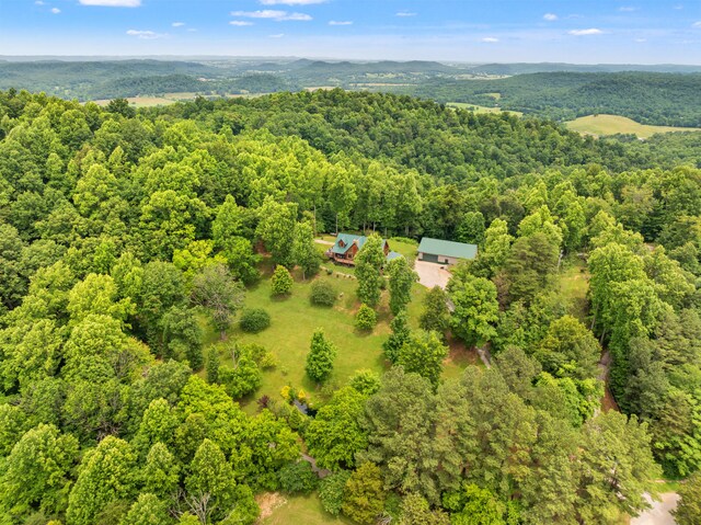 1564 High Ridge Rd, Middleburg, KY 42541 - aerial view of a forest