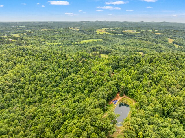 1564 High Ridge Rd, Middleburg, KY 42541 - bird's eye view of a heavily wooded area and a nearby body of water