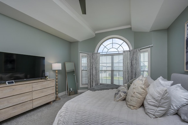 3536 Night Heron Way, Lexington, KY 40515 - bedroom featuring carpet floors, ornamental molding, and lofted ceiling