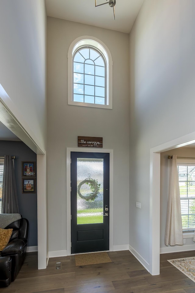 3536 Night Heron Way, Lexington, KY 40515 - entrance foyer with a towering ceiling and wood finished floors