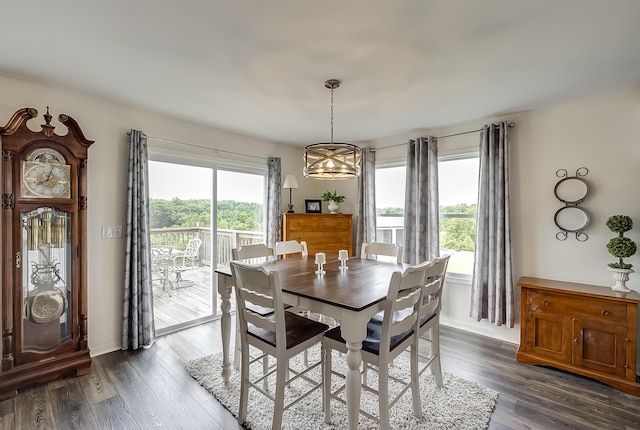 1011 Brown Store Rd, Lawrenceburg, KY 40342 - dining area featuring a chandelier and dark wood-style floors