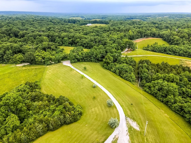 1011 Brown Store Rd, Lawrenceburg, KY 40342 - bird's eye view of a heavily wooded area