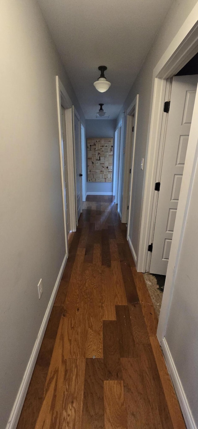 4020 Greentree Rd, Versailles, KY 40383 - hallway featuring wood finished floors and baseboards